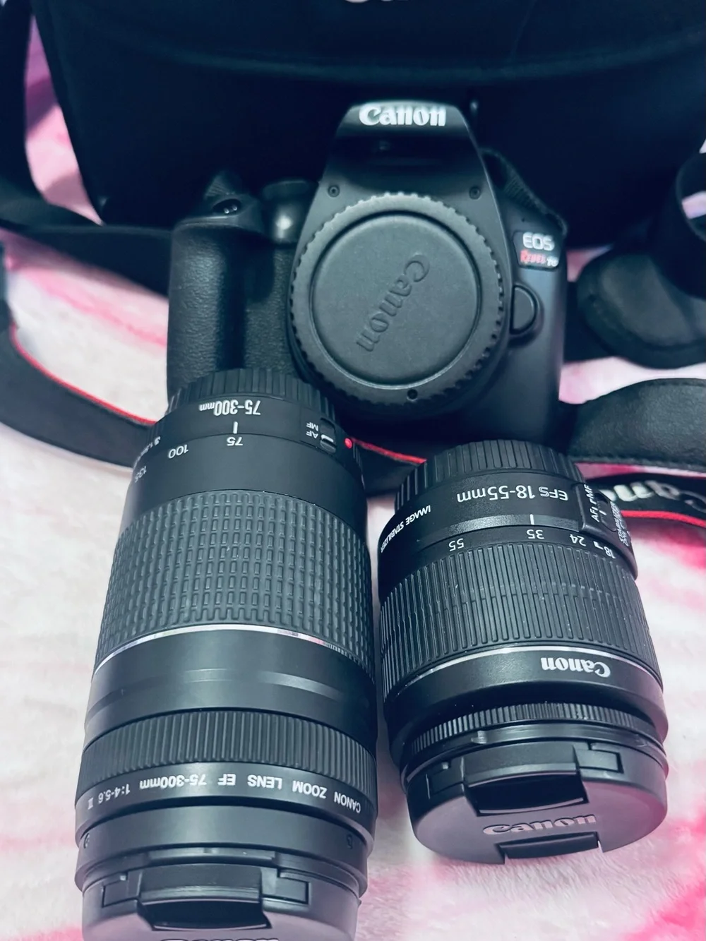 Canon EOS Rebel T6 DSLR Camera Kit in Black with Lenses